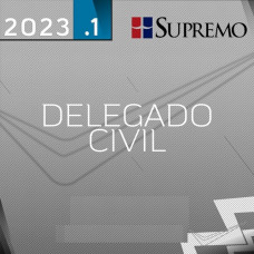 DELEGADO CIVIL REGULAR - SUPREMO 2023