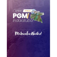 SPRINT FINAL PGM INDAIATUBA REVISÃO ENSINO JURÍDICO 2025 REVISÃO PGE